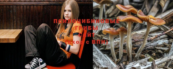 тгк Краснослободск