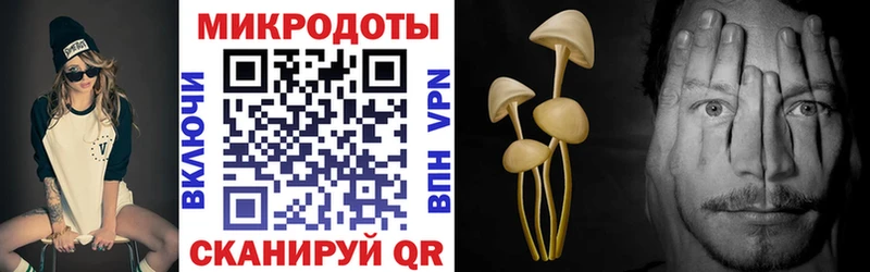 Псилоцибиновые грибы MAGIC MUSHROOMS  Нерехта 